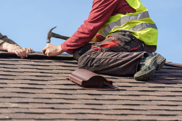 Best Metal Roofing Contractor  in Eudora, KS