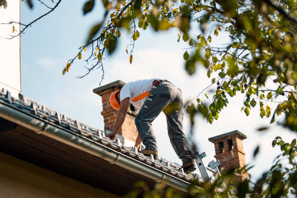 Best Affordable Roofing Company  in Eudora, KS