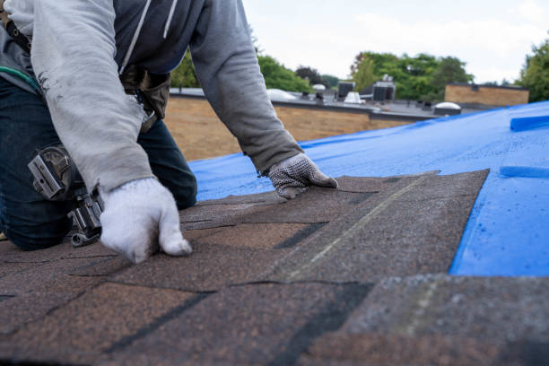 Roof Gutter Cleaning in Eudora, KS